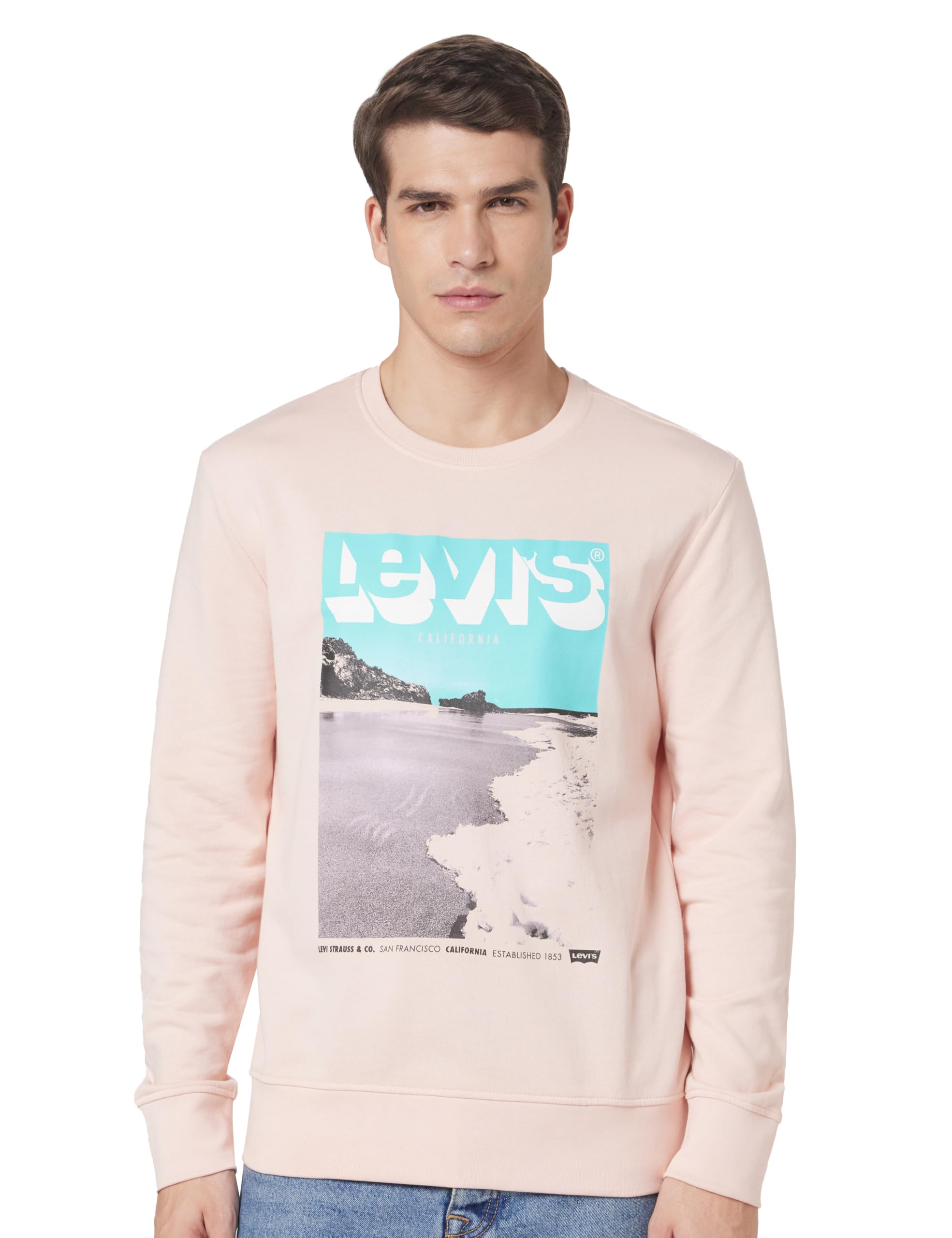 levi's Men Cotton Round Neck Sweatshirt-picture-26