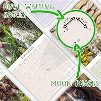 Vista 684 de Razas de Perros 2017