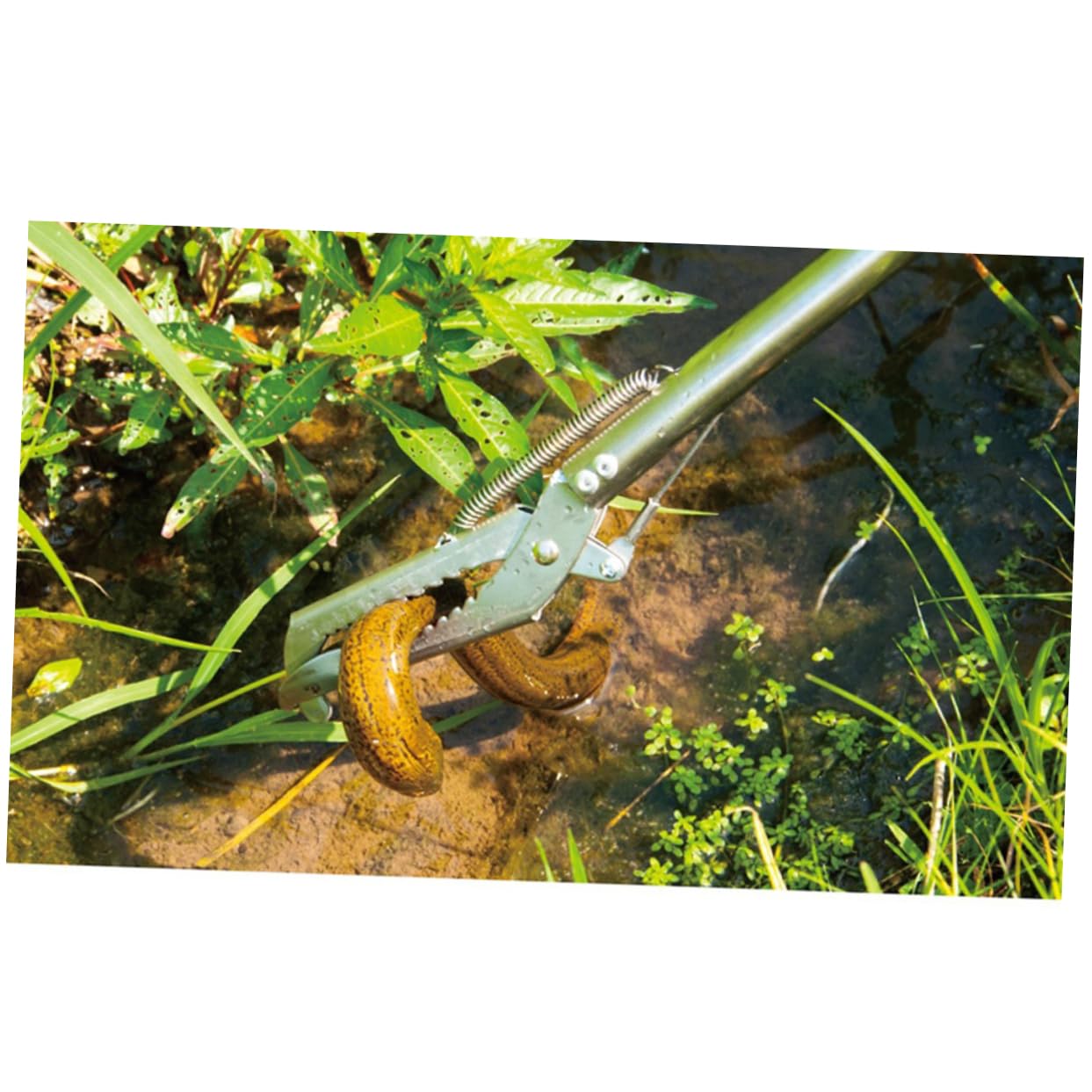 Edelstahl Selbstverriegelnde Schlangenzange 1 Meter mit Langem Griff
