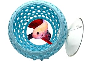 Betta Bulb Hide: Enchanting Aquarium Cave for Your Aquatic Pals