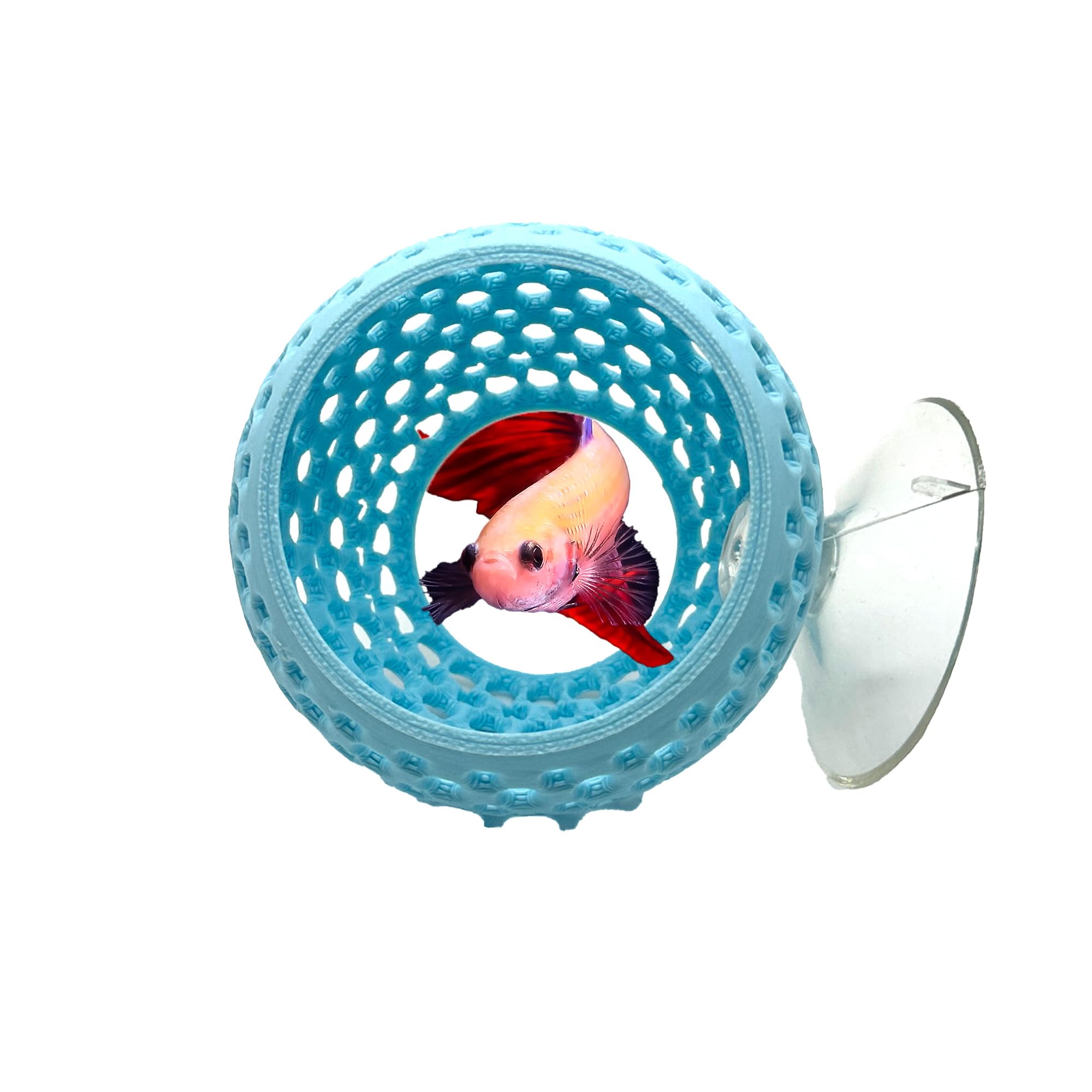 CTWPets Betta Bulb Hide