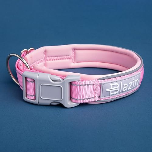 Miniatura 9 de BLAZIN Collar reflectante para perro 'O So Comfy' con ribetes Reflectech para una visibilidad superior por la noche, diseño de junta tórica y