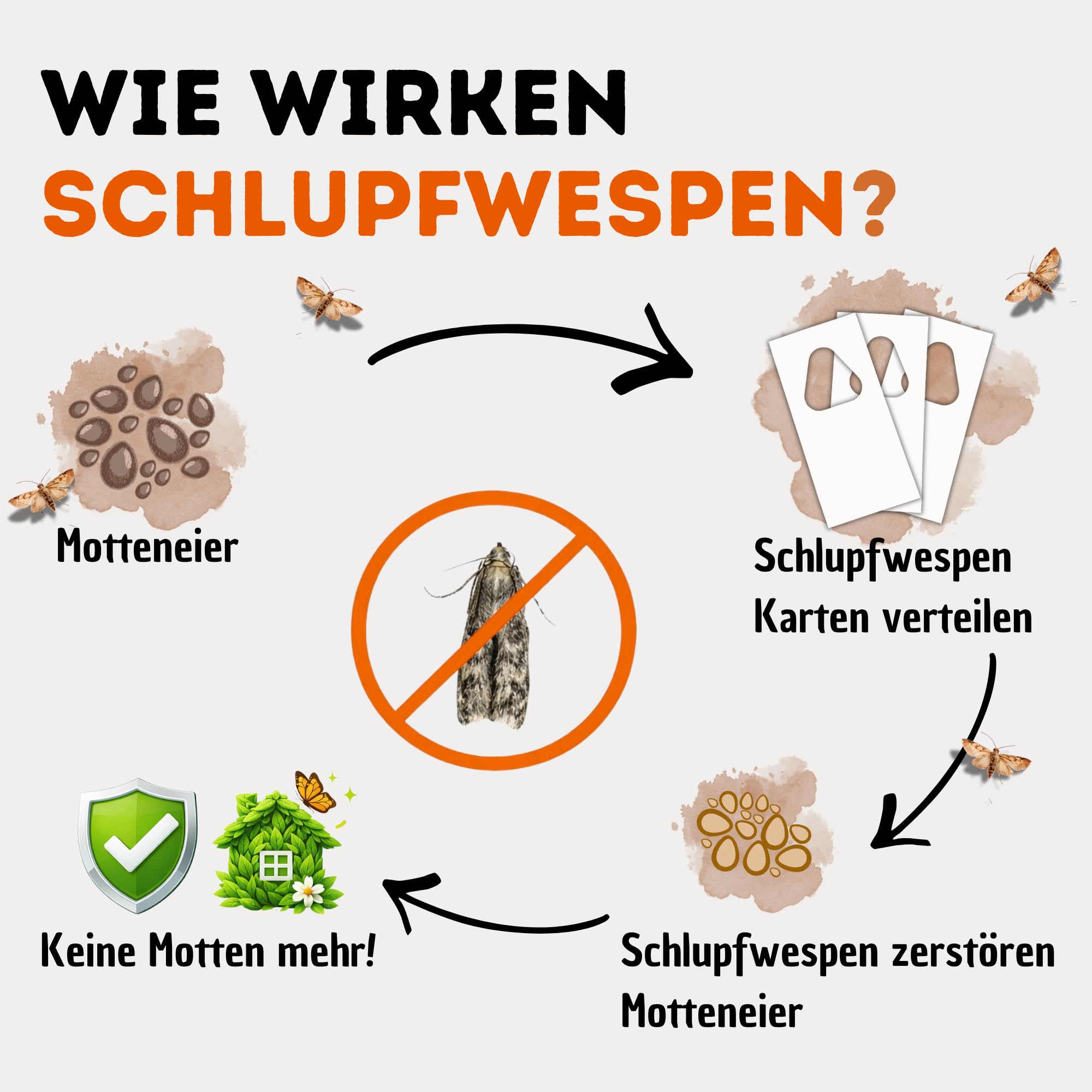 Schlupfwespen gegen Lebensmittelmotten - 20 Karten à 1 Lieferung zur effektiven Bekämpfung - biologische Alternative zur Mottenfalle oder Pheromonfalle
