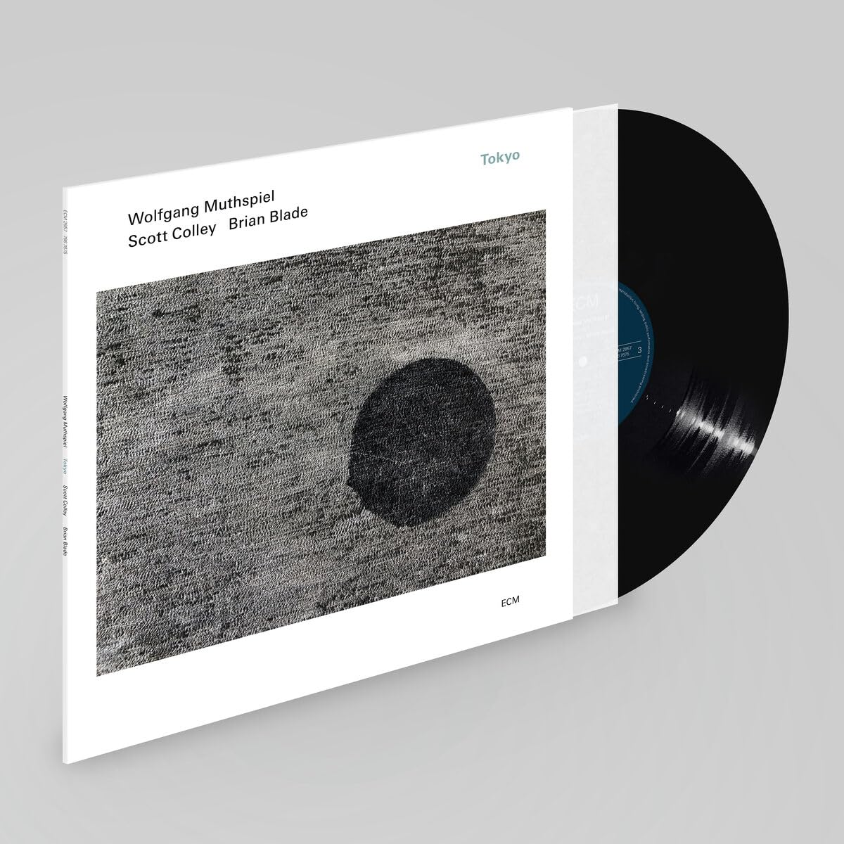 Wolfgang Muthspiel, Scott Colley and Brian Blade Wolfgang Muthspiel; Scott