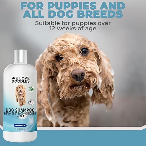 Miniatura 4 de USDA - Champú, acondicionador y desenredante orgánico para perros, el mejor champú para Goldendoodles, caniches y garabatos, para cabello de