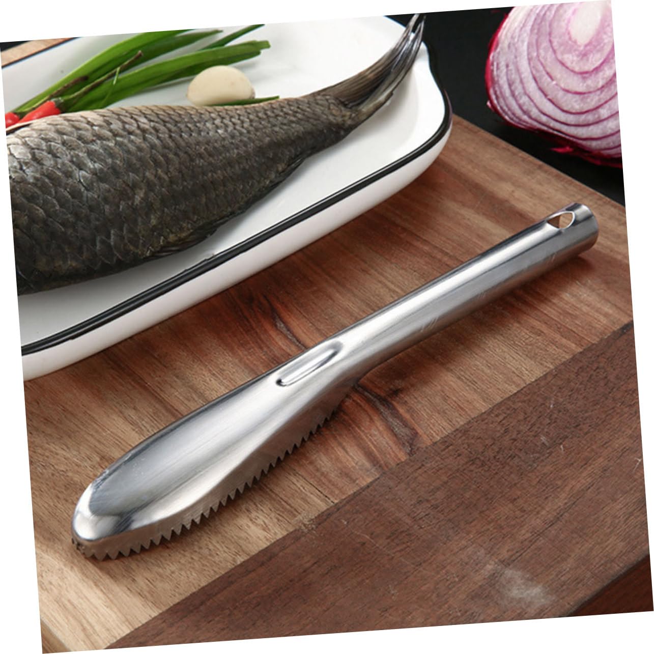 BESPORTBLE 10pezzi Rimuovi Squame Pesce Acciaio Inossidabile Strumento di Pulizia Pesce per Cucina Facile da Usare e Leggero Accessorio Essenziale per Amanti del Mare