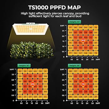Amazon.com: MARS HYDRO 3x3 Grow Tent Kit Complete System,150W