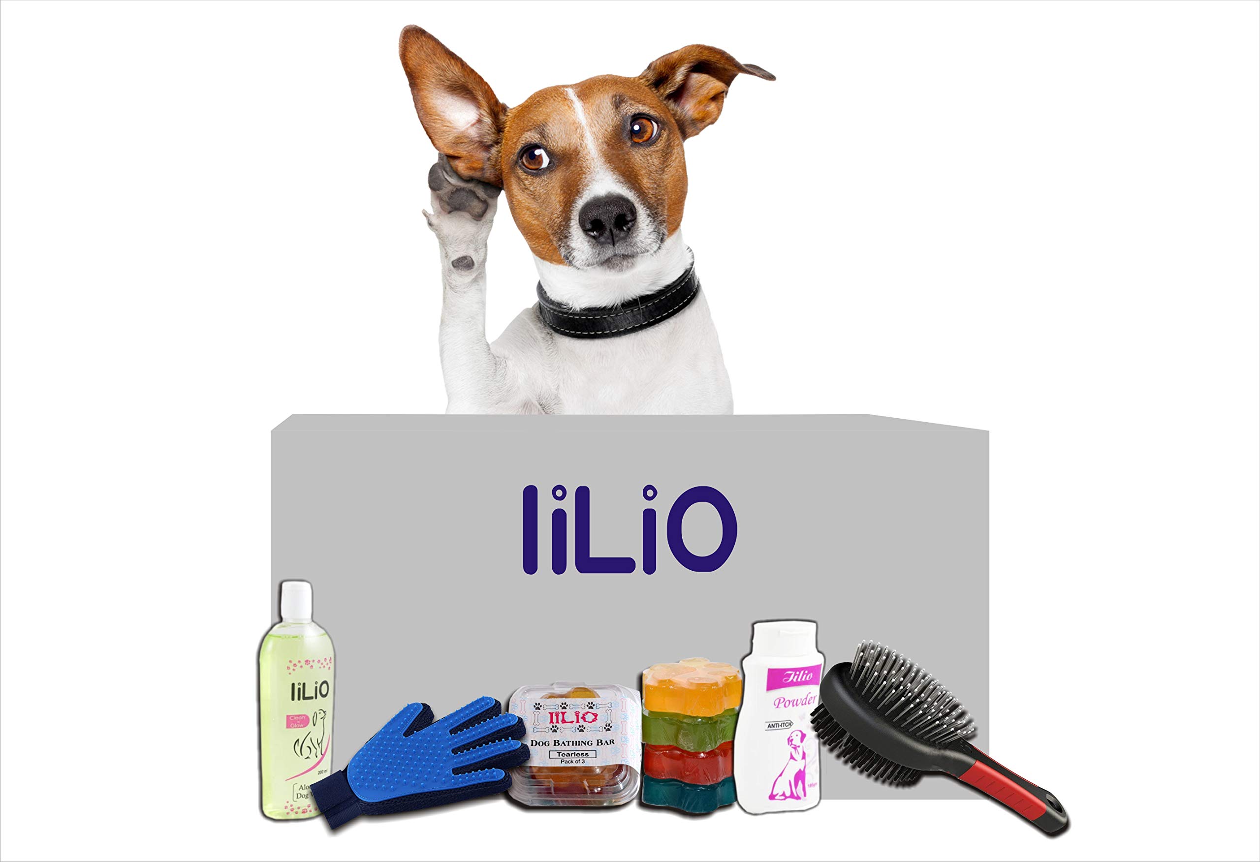 iiLio No-Itch 5-in-1 Kit, Complete Solution for itching and Rashes for Your Dog (B08NTKGNLL) Amazon Price History, Amazon Price Tracker