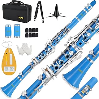 Beginner's Bb Clarinet Kit