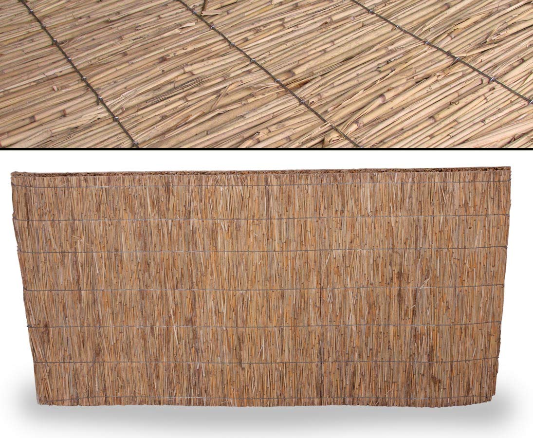 bambus-discount.com Schilfrohrplatte Usedom mit 125 x 200cm und 2,5cm Materialstärke - Dicke starre Schilfplatte als Dämmmaterial