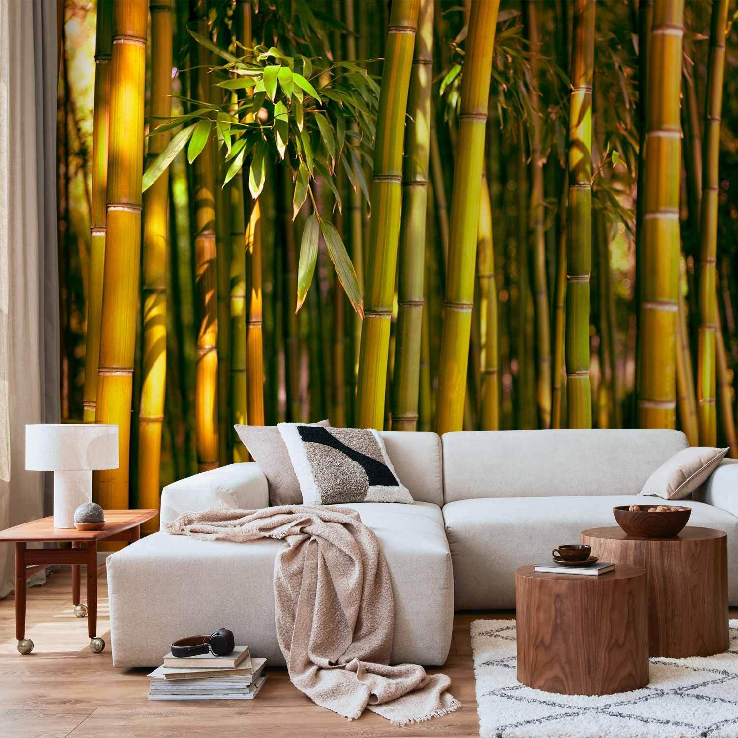 decomonkey Premium Fototapete Bambus Natur 250x175 cm XL Tapete Wandbild  Bild Fototapeten Tapeten Wandtapete Wald : Amazon.de: Baumarkt