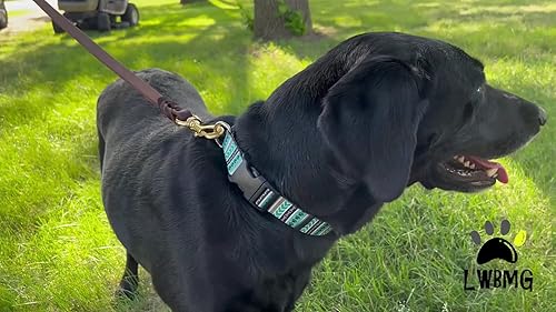 Miniatura 7 de Correa de cuero para perro correa de cuero trenzada para perro cuerda duradera de cuero de vacuno real tejida a mano de cuero suave y fuerte