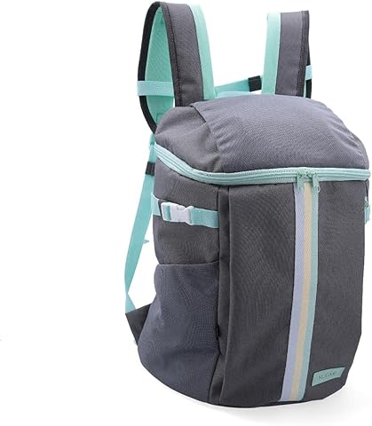 Quid Sugar Mochila Térmica 30x22x4cm - 20l Gris
