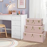 Vista 118 de Vixdonos Juego de 2 baúles decorativos de almacenamiento de caja de metal con asa (blanco con cierres de bronce)