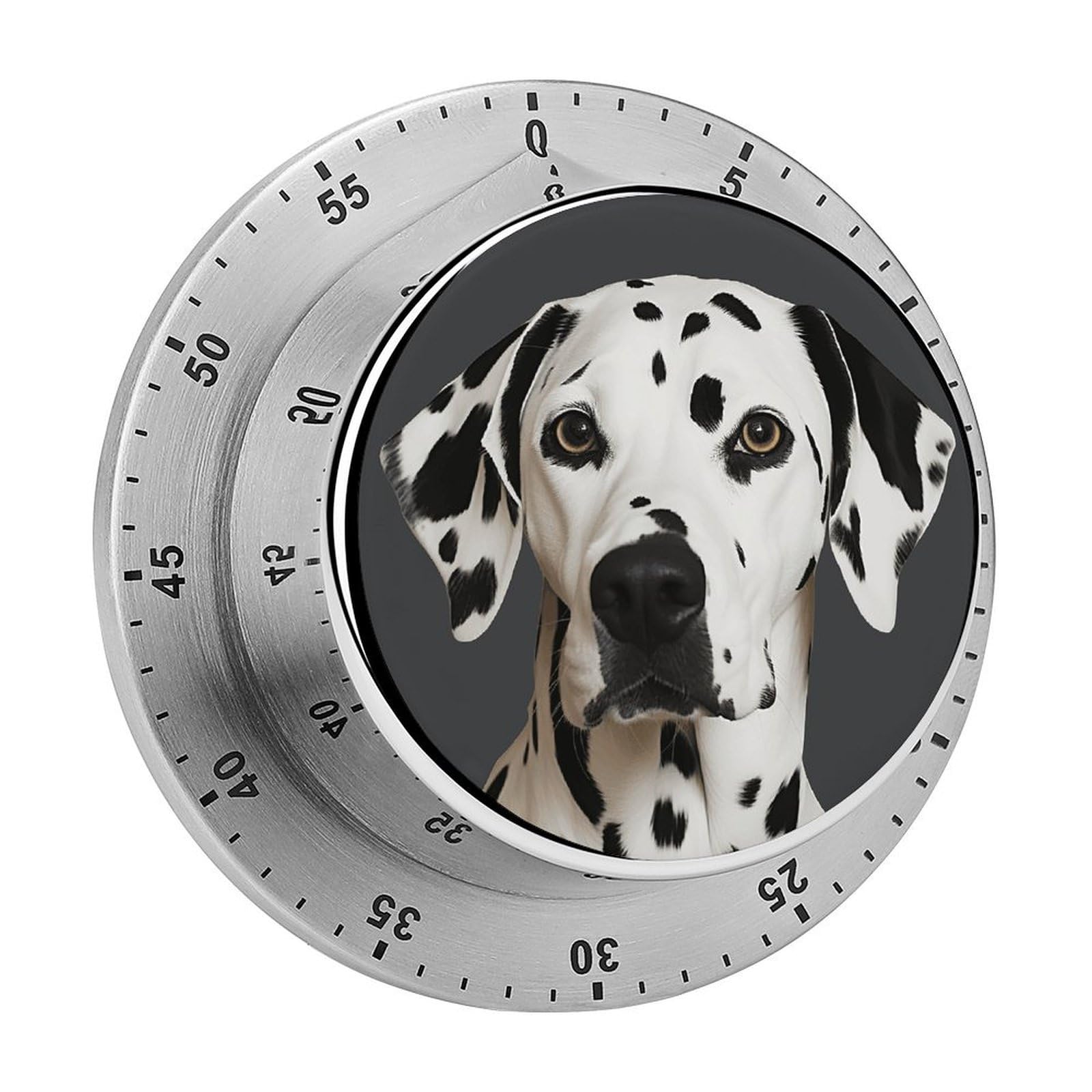 Dalmatian Timers Adsorbable Stainless Steel Kitchen Timer Loud 60 Minute Visual Timer Portable Manual Countdown Timers Alarm Clock Time Management Tool for Home Work
