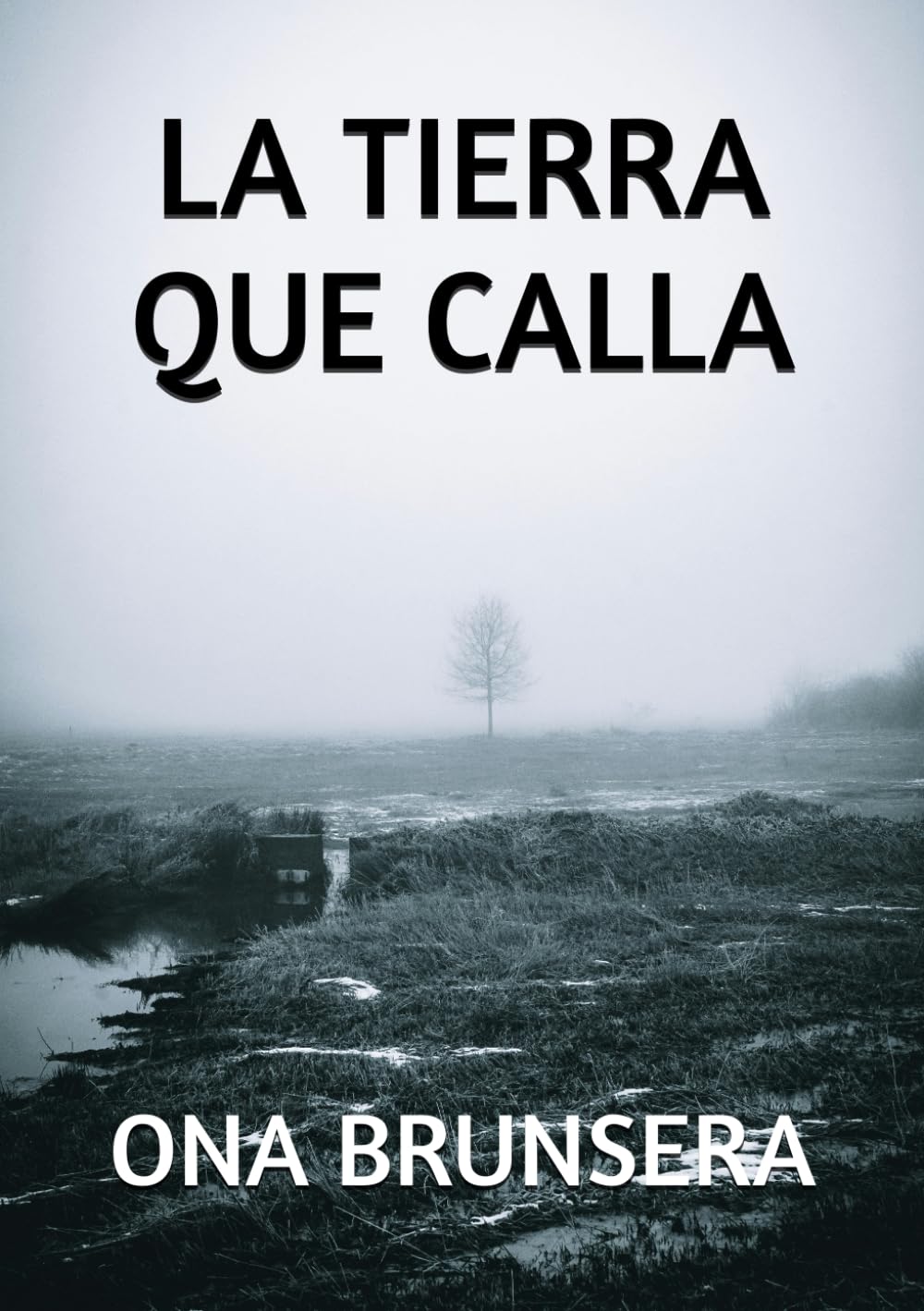LA TIERRA QUE CALLA