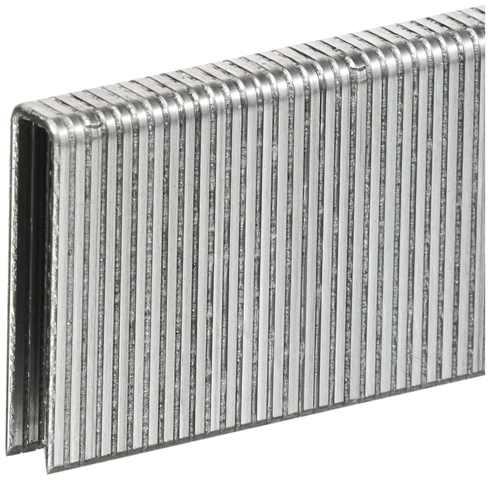 Original Einhell Accessoire Agrafes 5x25 mm pour DTA 25/2, 3000 pièces