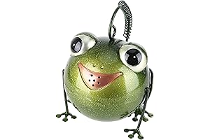 Charming Frog Water Giver