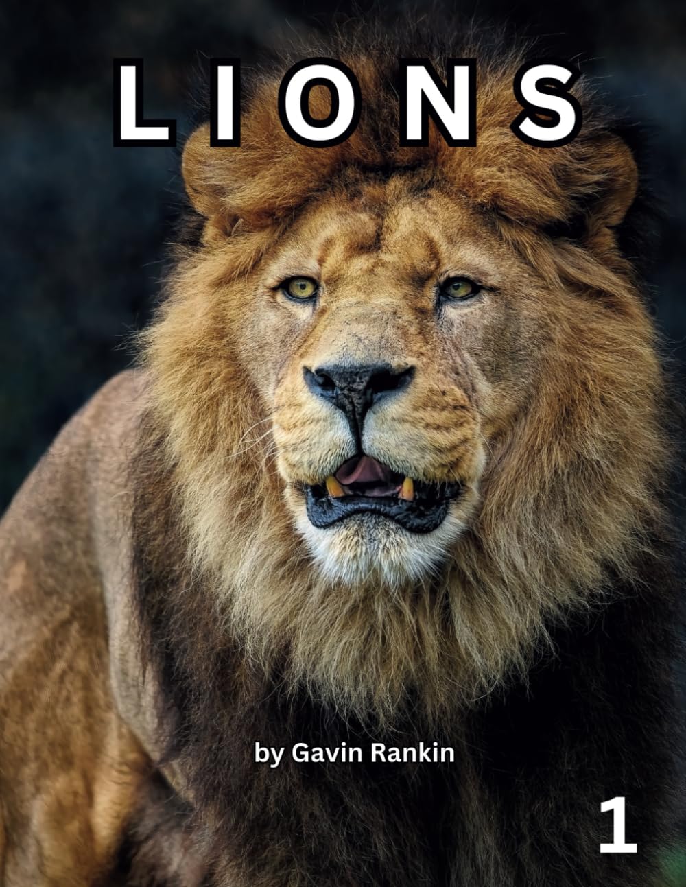 LIONS: A first coloring book of magnificent Lions for you to color at your leisure while relaxing and relieving any stress you may have.