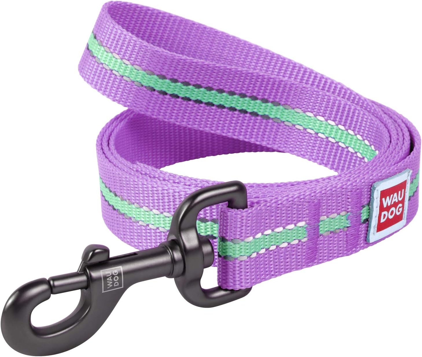 Nylon Reflective Dog Leash 4 Ft