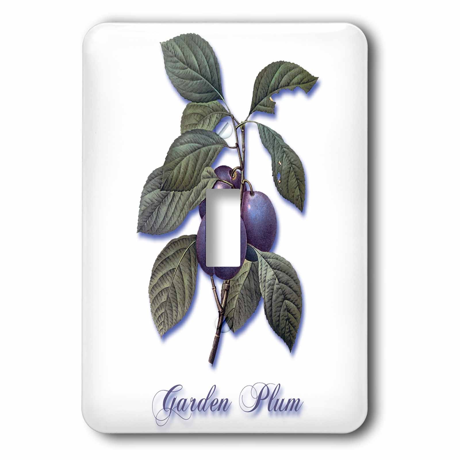 Interrupteur simple va-et-vient violet décoratif imprimé fruits de jardin 3dRose