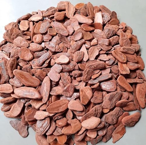 Casca de pinus polida média 1 kg