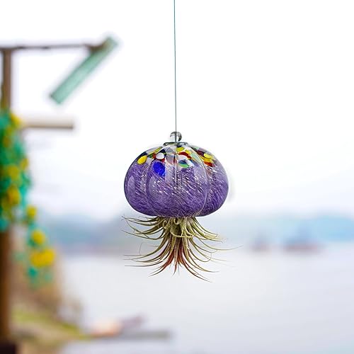 Miniatura 9 de H&D HYALINE & DORA Macetero de cristal soplado a mano colgante, medusas, decoración de terrario para jardín, porche, ventana, alféizar (sin plantas)