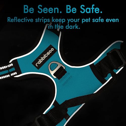 Miniatura 8 de rabbitgoo Arnés para perro, arnés sin tirones para mascotas con 2 clips para correa, chaleco acolchado suave ajustable para perro, chaleco Oxford