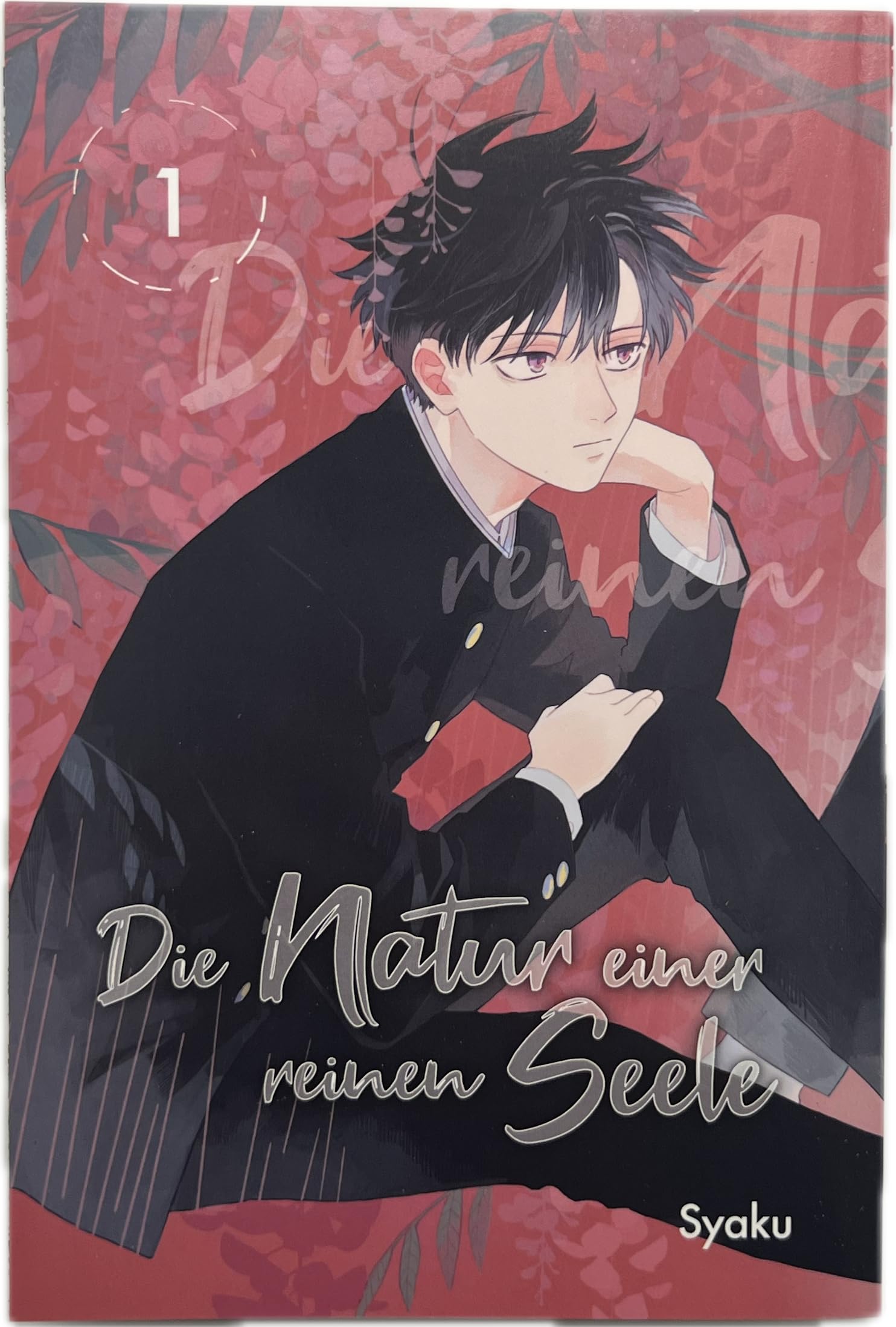 Die Natur einer reinen Seele 01