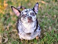 Review Image by A-Ro A-Ro