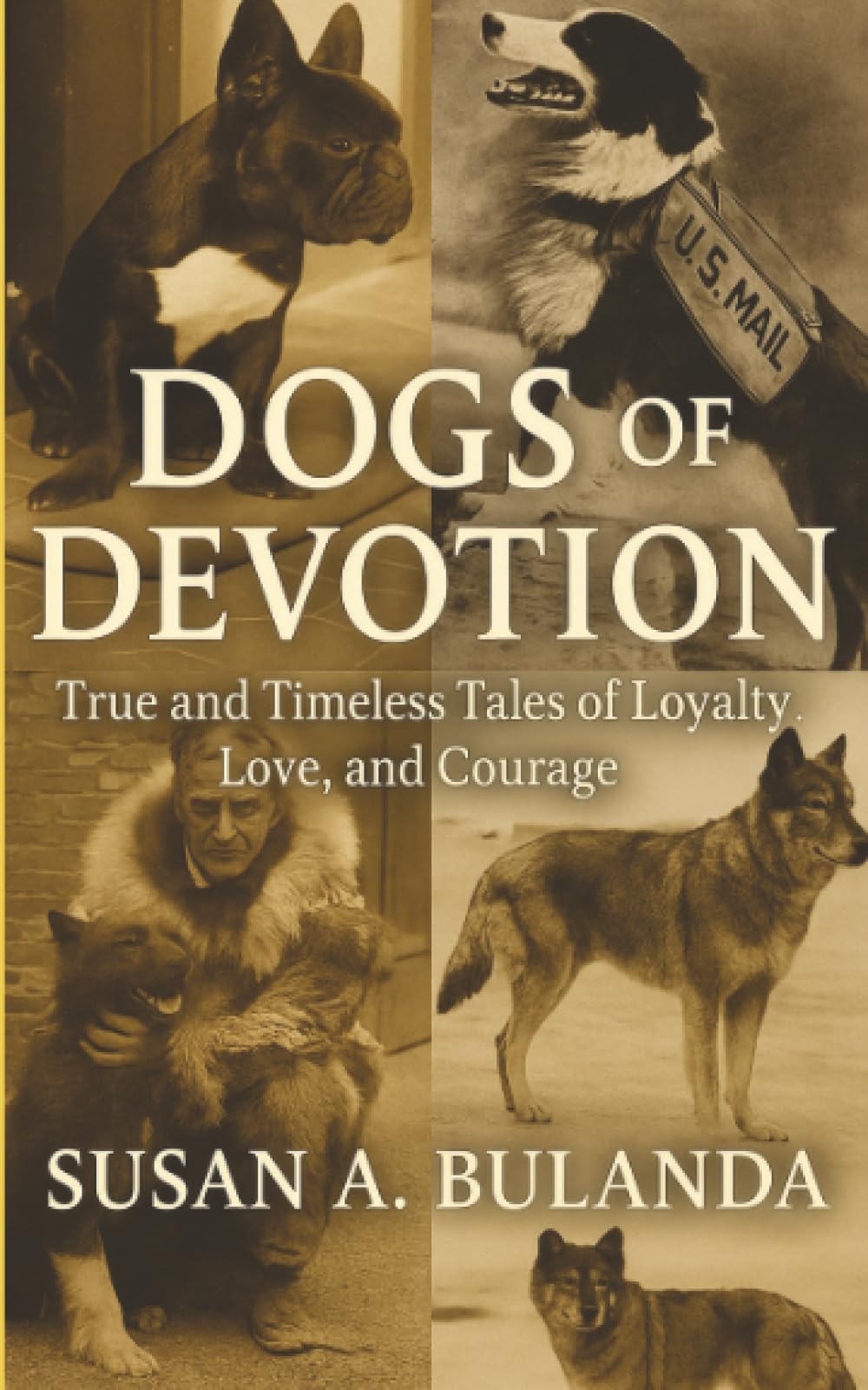 Dogs of Devotion: True and Timeless Tales of Loyalty, Love, and Courage