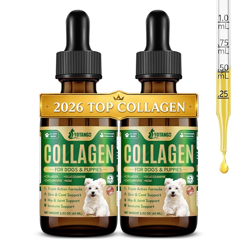 Suplemento de Colágeno Líquido para Cães YOTANGO com MSM e Glucosamina, 2 Frascos de 60 mL