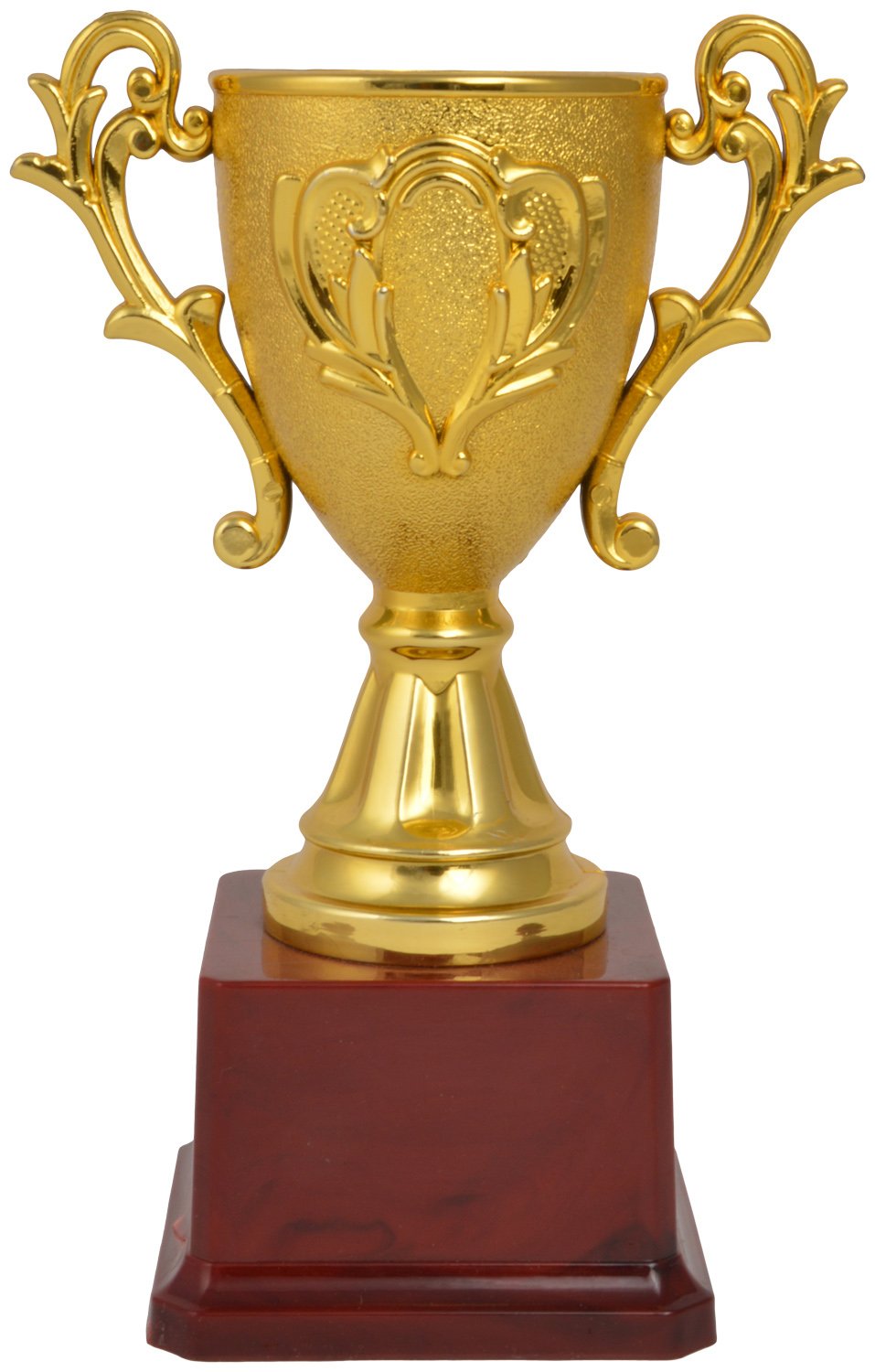 D Cup Open L-picture-30
