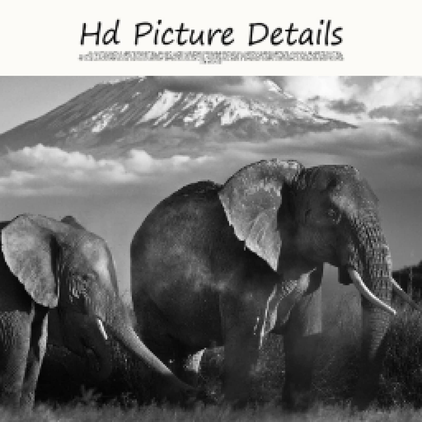 dsdsgog Nero e Bianco Elefante Selvatico Paesaggio della Tela di Canapa Pittura Poster e Stampe Scandinavo Immagine di Arte Della Parete per Soggiorno 60x90 cm Senza Cornice