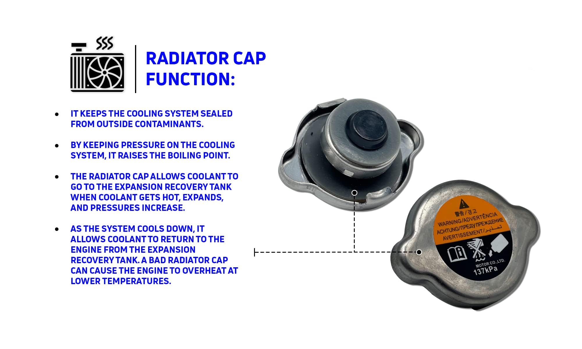 Amazon.com: Unifizz Conjunto de tapa de radiador de coche para