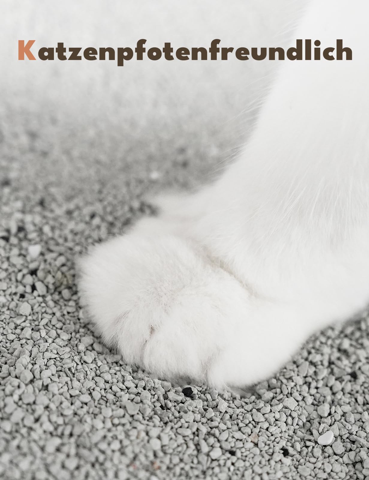 PetSnowy Feine Katzenstreu, Klumpstreu ohne Staub, Ausgewhlter krniger  Mineralsand Plus Backpulver und Aktivkohle, Desodorierend und Staubfrei  Katzenstreu mit Eimer und Deckel : Amazon.de: Haustier