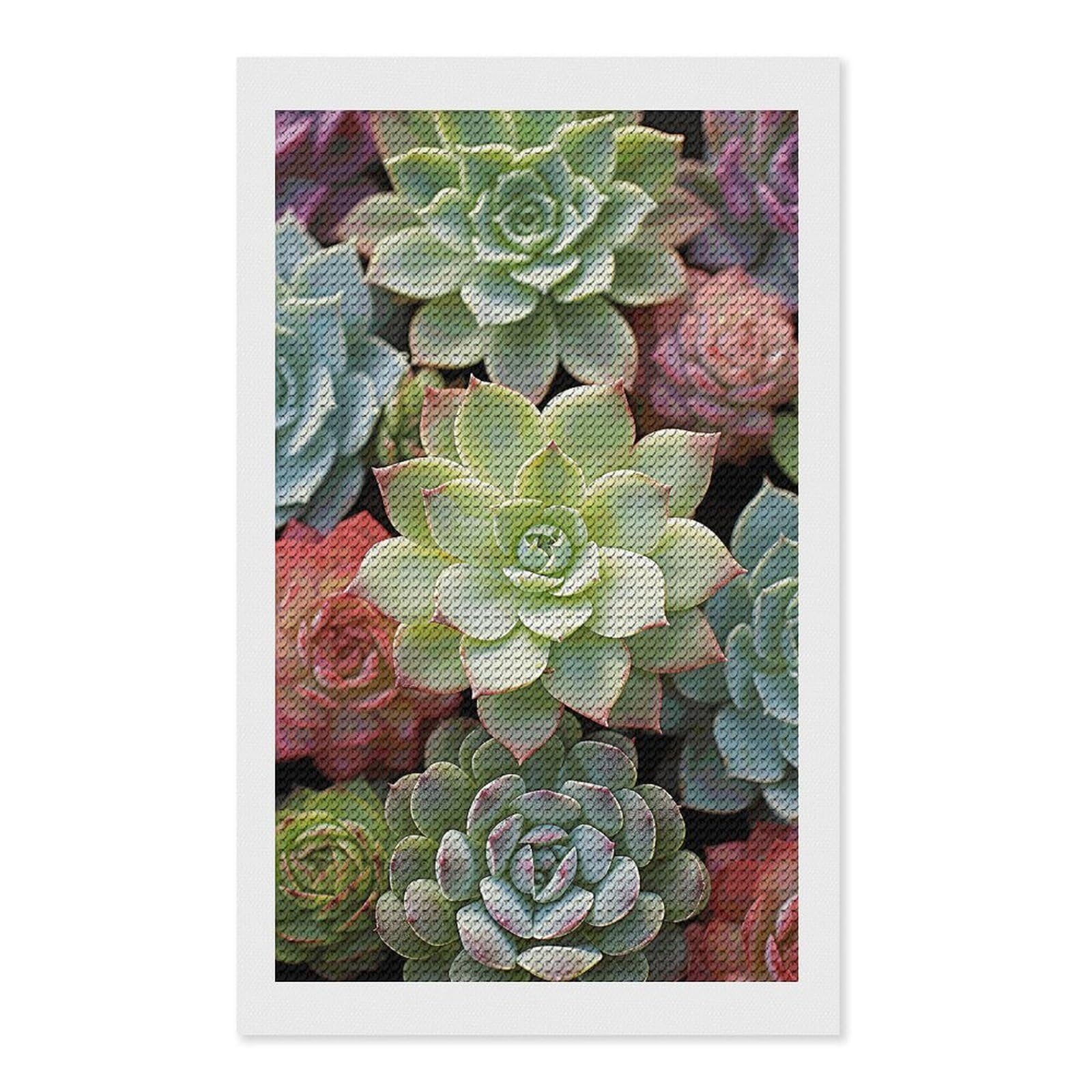 Cactus Succulents Diamond Art Kits for Adults, DIY 5D Diamonds Painting Kits for Beginner, Round Full Drill Diamond Dots Painting, Diamonds Pictures Gem Art and Crafts Wall Decor 12"x20"
