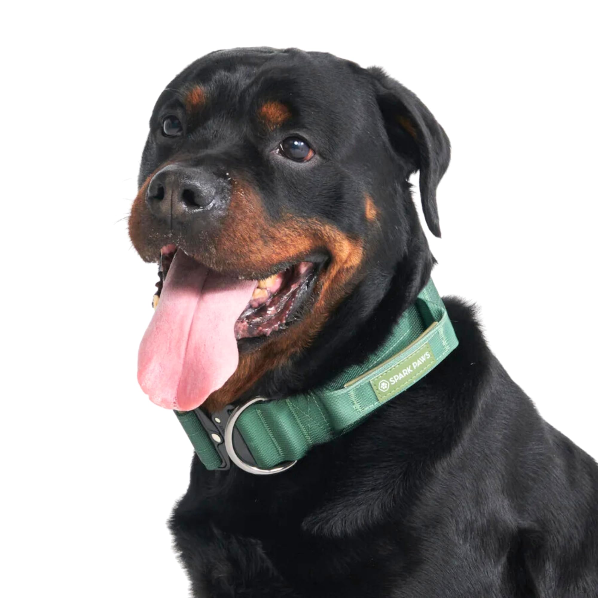 Spark Paws Tactical Dog Collar - Heavy Duty, Premium Quality, Thick and Durable for Large and Medium Dogs - Solid Green - L