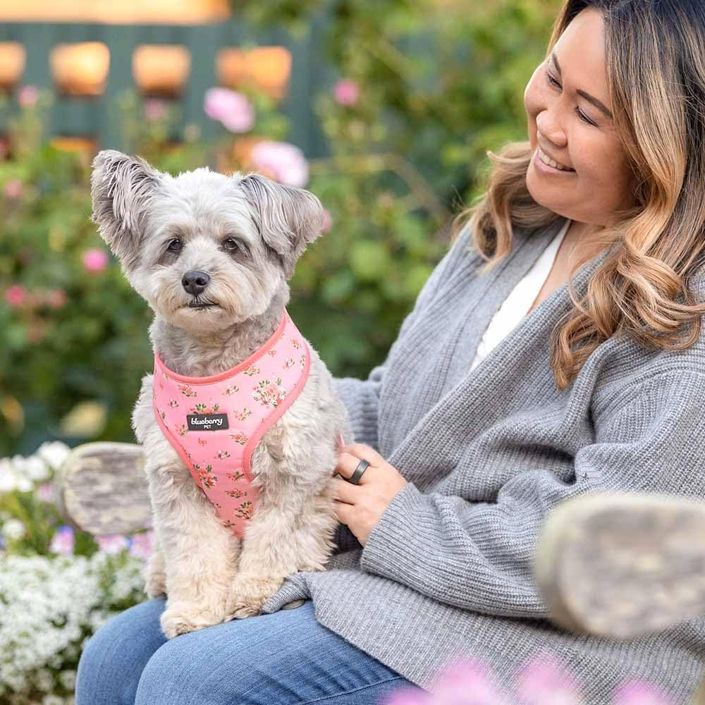 Blueberry Pet Soft & Comfy Spring Scent Inspired Floral Rose Baby Pink Dog Harness Vest, Chest Girth 16" - 21", Small, Adjustable Harnesses for Dogs