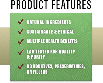 Perfect Supplements Perfect Matchinga Powder 180 Grams Organic Matcha & Organic Moringa Supplement Green Superfood Increases Energy