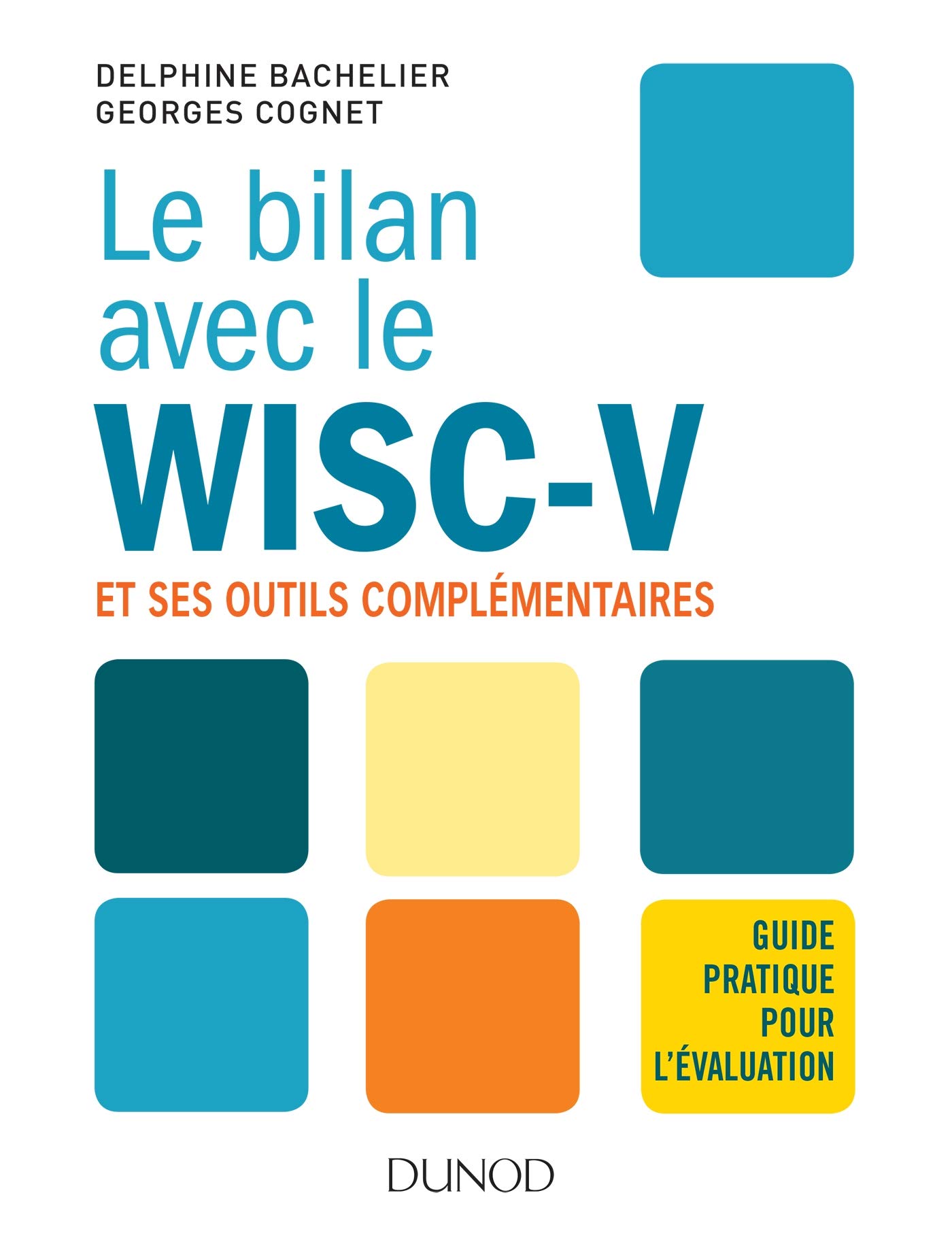 Le bilan avec le Wisc-V et ses outils complémentaires - Guide pratique pour l'évaluation: Guide pratique pour l'évaluation
