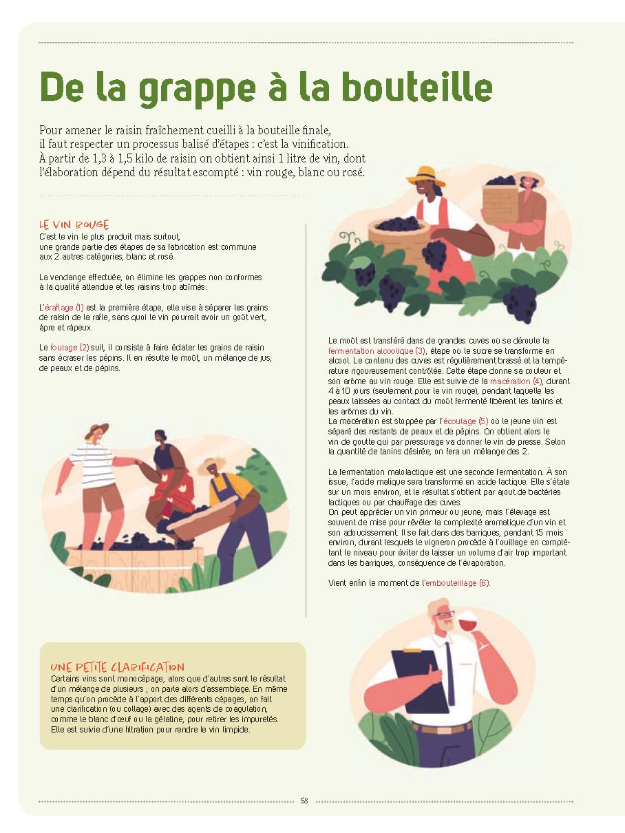 Vignes et raisins: Tous les savoirs, toutes les histoires, tous les pouvoirs, tous les espoirs…