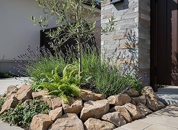 ロックガーデン　セット　庭石　石 石材　庭　ガーデニング Amazon.co.jp: ロックガーデン 庭石 石 岩 割栗石 黒 ブラック