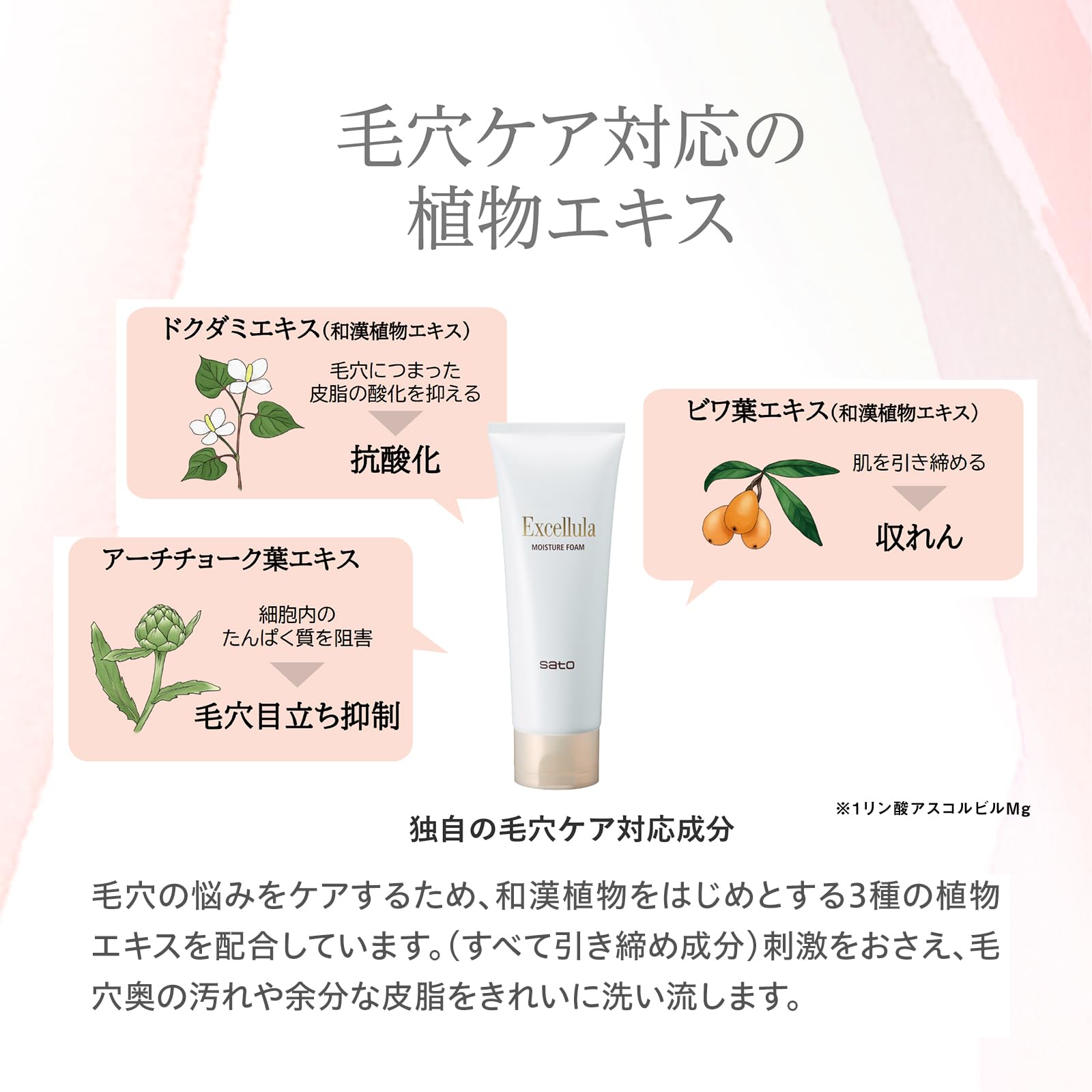 Amazon.co.jp: エクセルーラ: 商品一覧