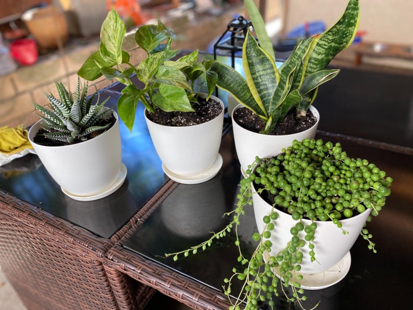 Mkono 6.5 Inch Plastic Planters Indoor Set of 5 Flower Plant Pots ...