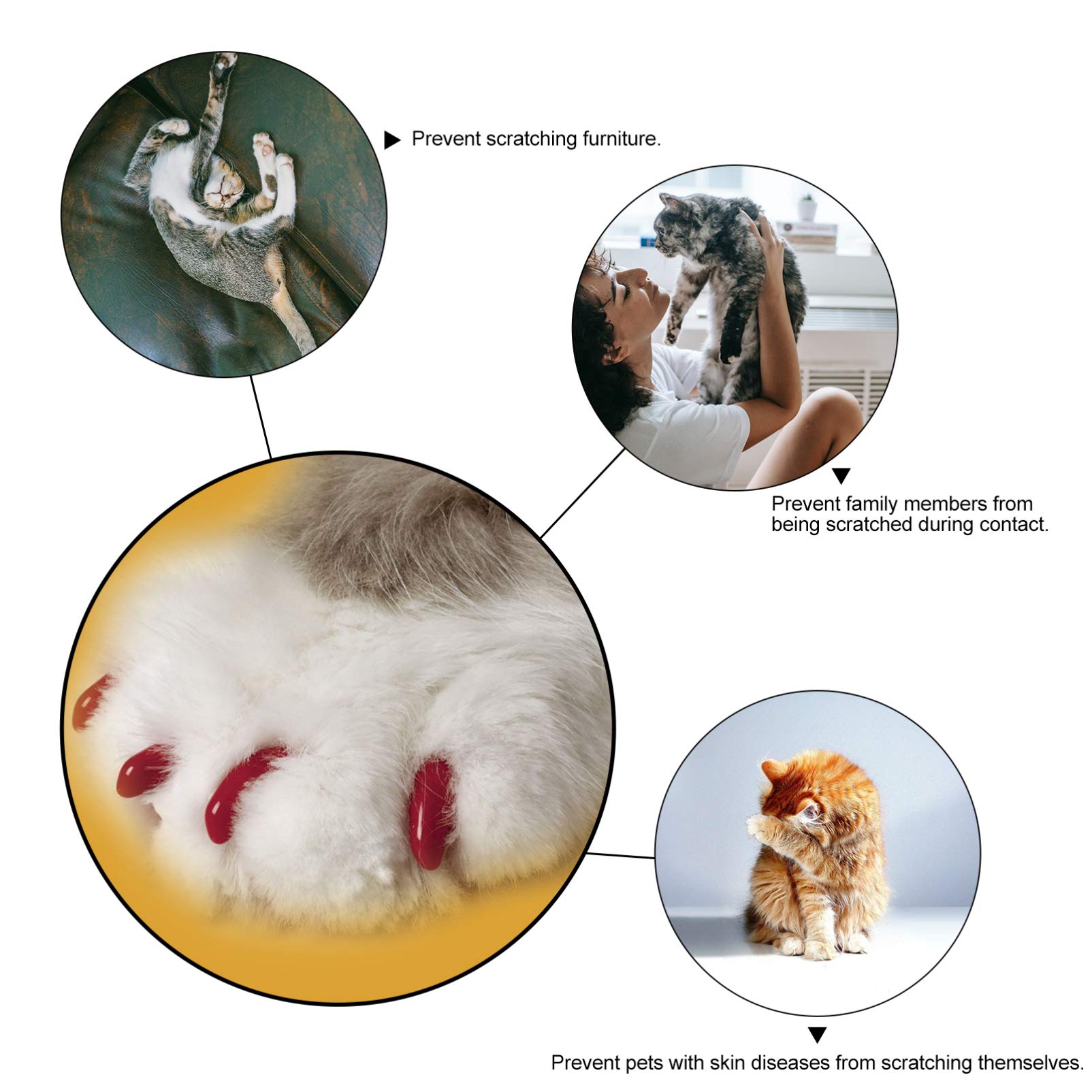 FOMIYES 480 Pièces Ensemble D'ongles pour Animaux De Compagnie Griffes De Chat en Caoutchouc Casquette Griffe De Chat Couvre-Griffes De Chat Patte De Chaton Assorti Gel De Silice