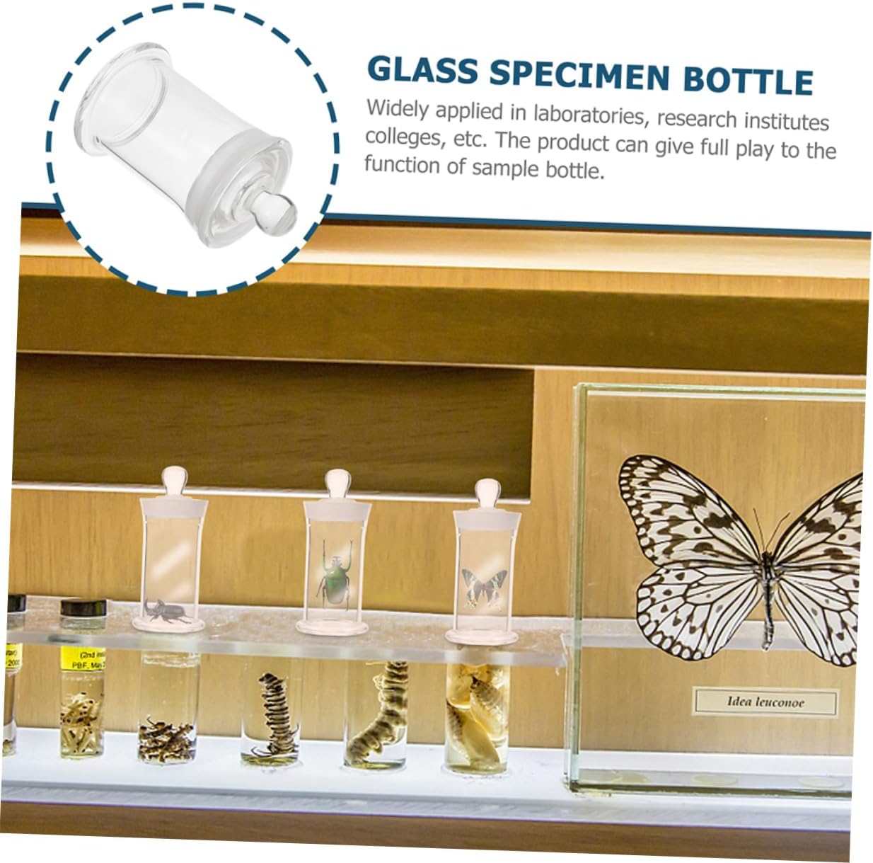 Cabilock Borosilicate Glass Shot Bottles Heat Resistant Specimen Vials Lids for Experiments