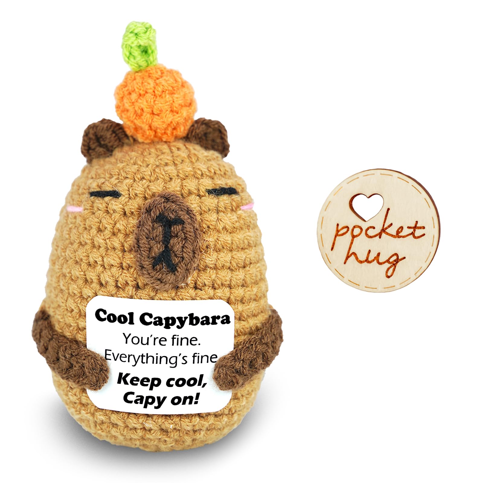 Cool Capybara Gift with Wooden Pocket Hug Mail Box, Crochet Capybara Positive Emotional Support Plush, Cute Keep Calm Encouragement Gift for Friends, Kids, Teens, Birthday, Exams, Graduation
