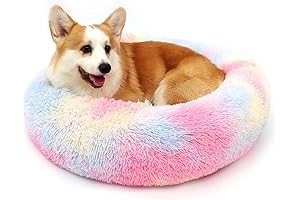 MrFluffyFriend Dog Bed : A Dog's Heavenly Haven