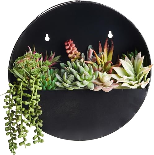 Miniatura 7 de Farmlyn Creek Maceta circular colgante de pared, 12 x 3.6 pulgadas, color negro, estilo jardín, maceta redonda de metal galvanizado para suculentas